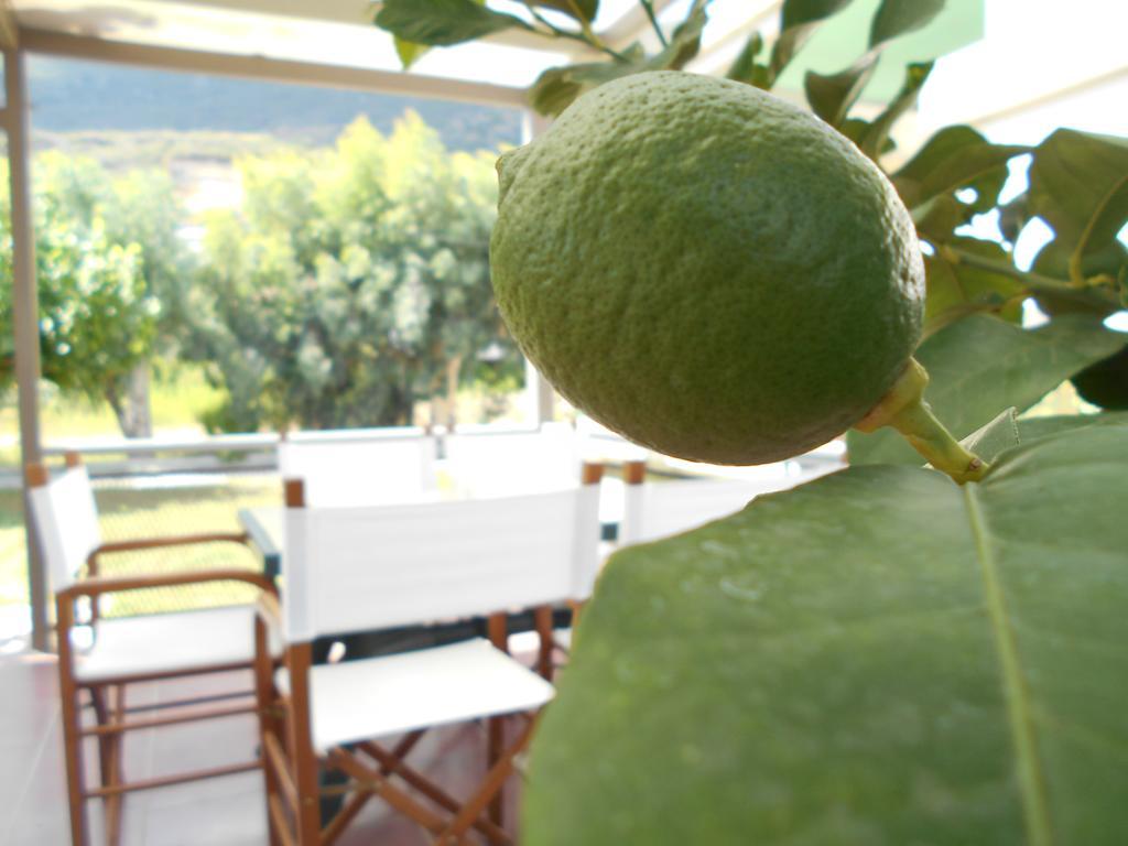 Art Sailing Vasiliki Exterior foto