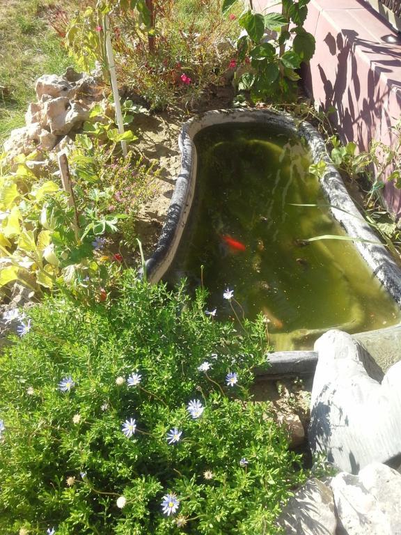 Art Sailing Vasiliki Exterior foto